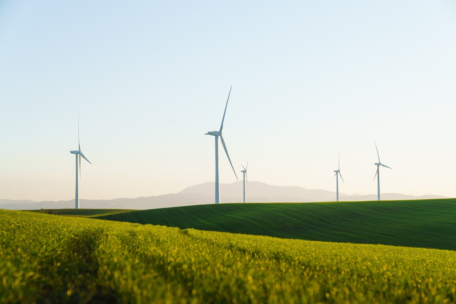 How Environmental Consultancies Drive Corporate Sustainability