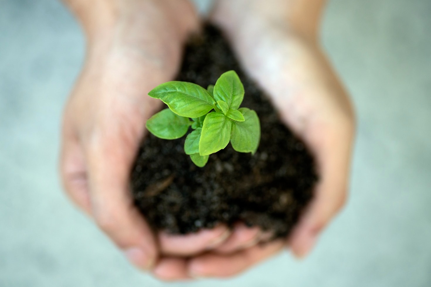 Top Benefits of Hiring an Environmental Consultant