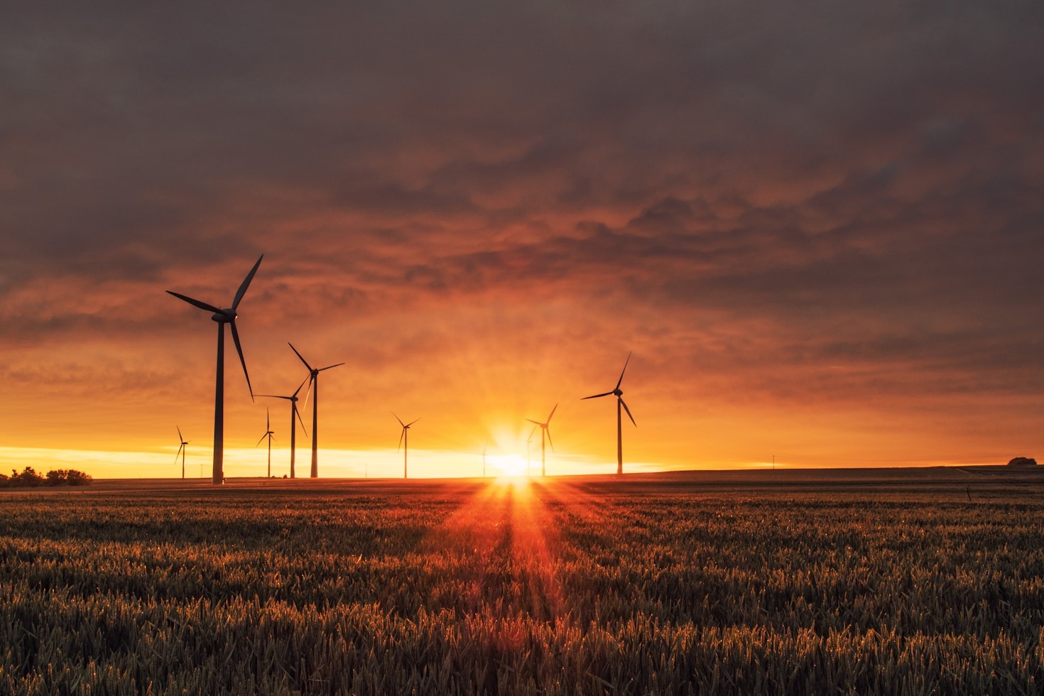 Navigating Environmental Regulations: Expert Tips and Insights