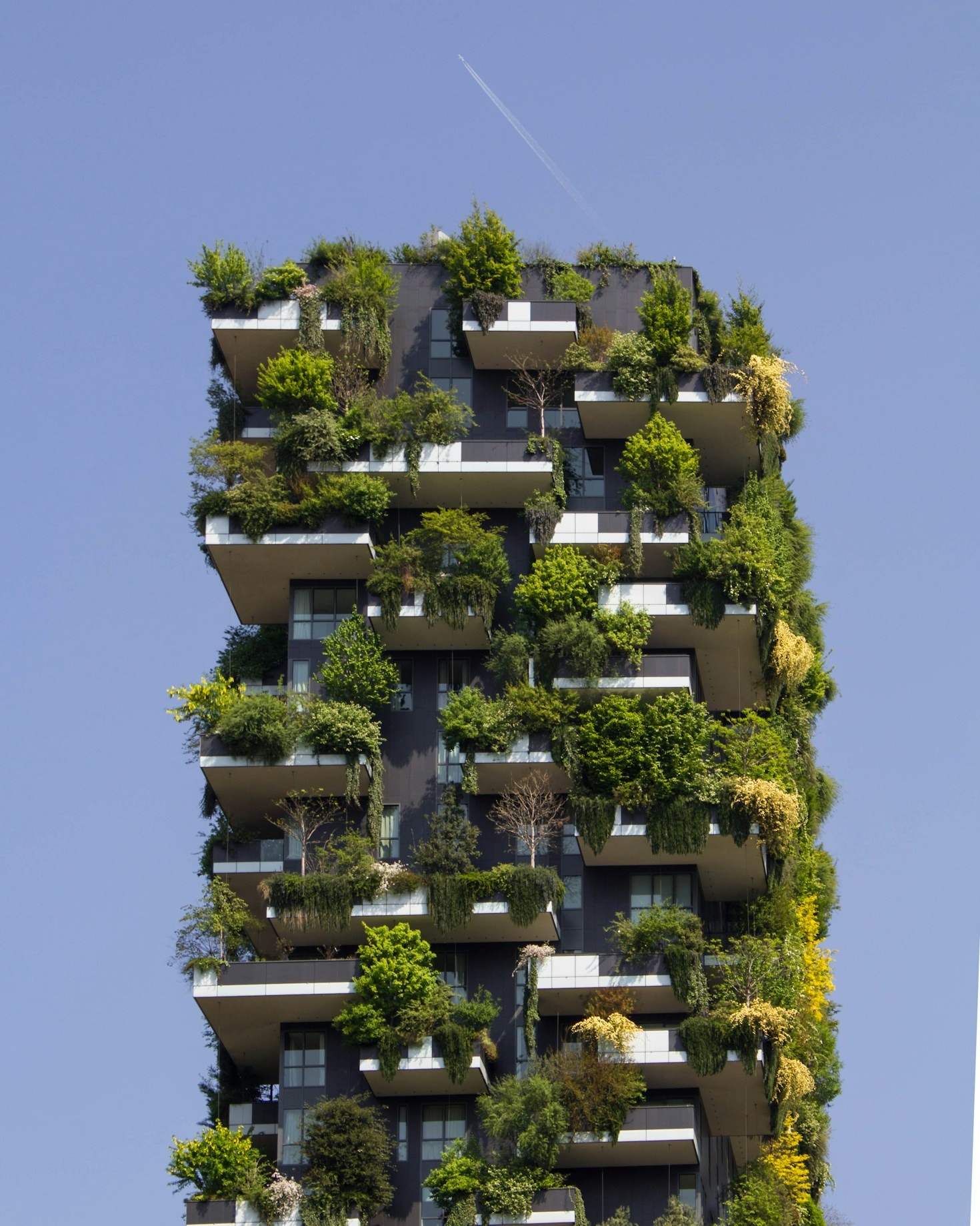 Navigating Legal Complexities in Environmental Projects