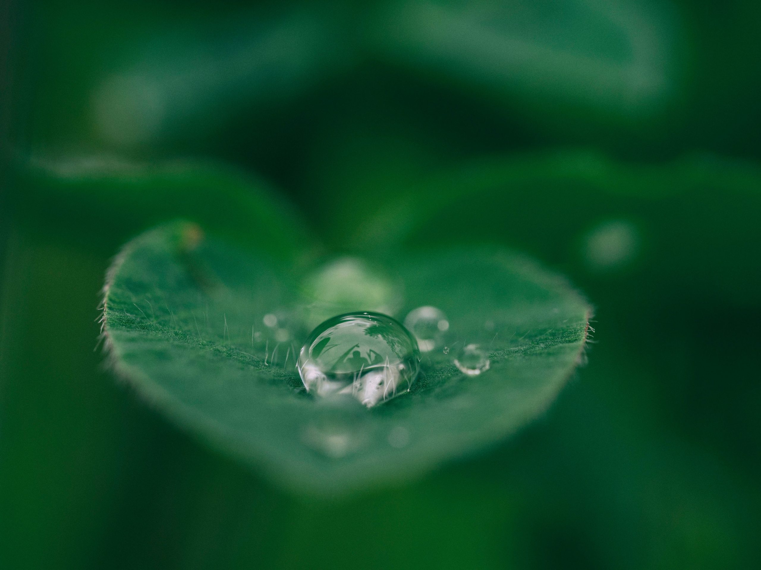 Hello World Featured Image